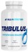 Купити AllNutrition /Tribulus, 100 капсул / Підвищення тестостерону