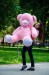 Купити Ведмідь Вєня, 130 см, рожевий