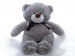 Купити Ведмідь Томмі, 150 см, сірий