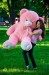 Купити Ведмідь Томмі, 200 см, рожевий