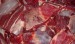 Купити М'ясо яловиче на кості охолоджене: бик 1 кат