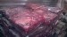 Купити Субпродукти яловичі глибокої заморозки: відходи